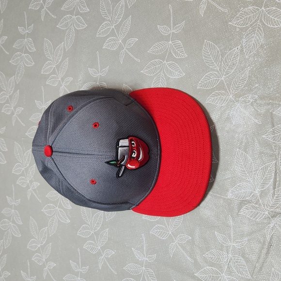 Fort Wayne Tin Caps Hat - Picture 1 of 8